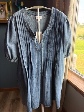 Lovelo Denim Dress with Pockets